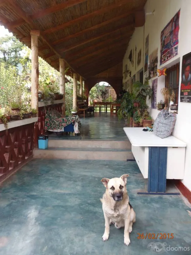 SE VENDE CASA HUERTA - IDEAL PARA NEGOCIO: RESTAURANT, SPA, CENTRO DE CONVENCIONES, MEDITACION, ETC - 3