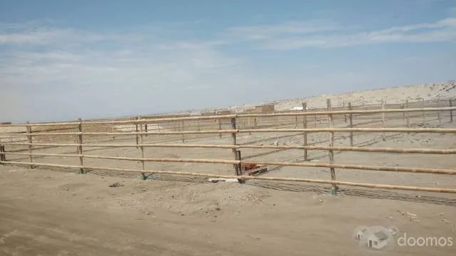 Terrenos de Playa en Colan - Piura - 1