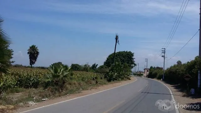 Ocasion terreno a pocos metros de la plaza de armas de Aucallama. - 1