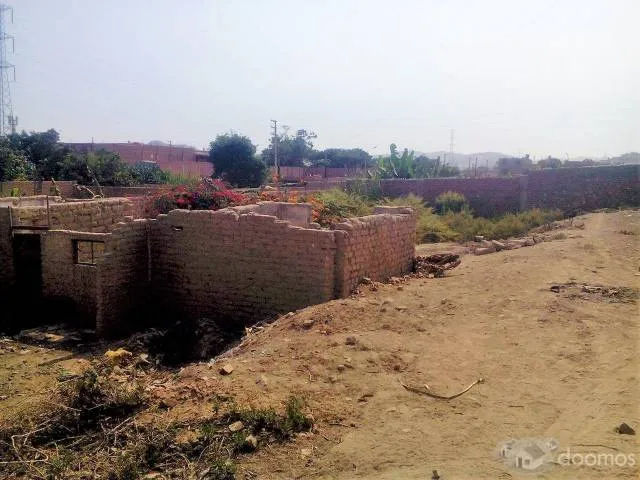 PRECIO A TRATAR. Venta de terreno en Puente Piedra en la Urb La Alameda del Norte - 4