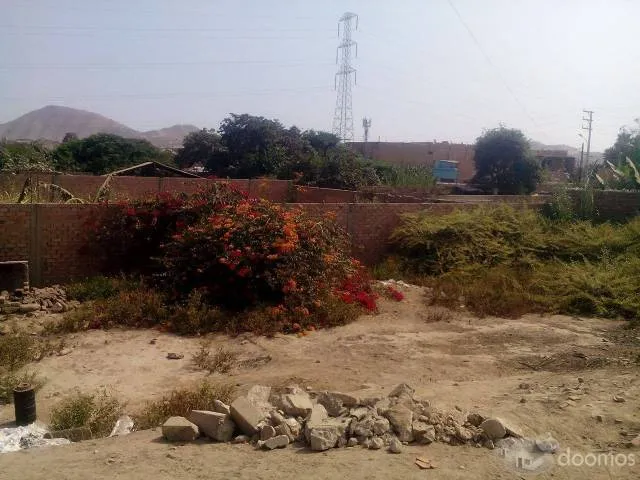 PRECIO A TRATAR. Venta de terreno en Puente Piedra en la Urb La Alameda del Norte - 5