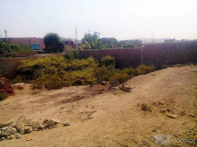 PRECIO A TRATAR. Venta de terreno en Puente Piedra en la Urb La Alameda del Norte - 6