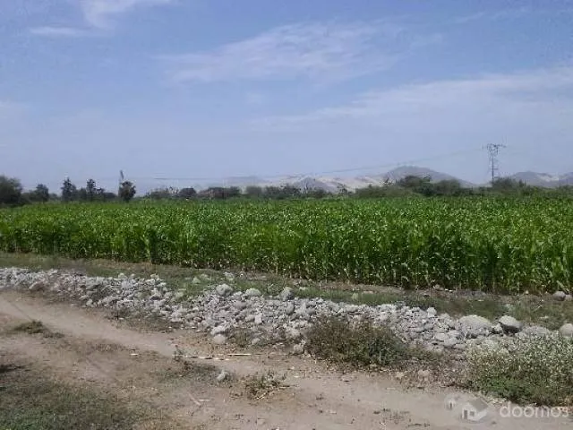 Se Alquila Terreno Agricola – 10Ha Supe-Lima - 3