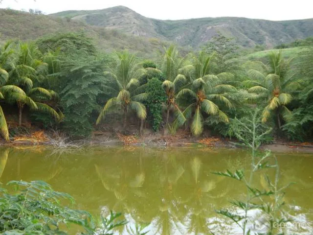 Vendo 4 Hectáres de Terreno apto para pisicultura o turismo vivencial - 1