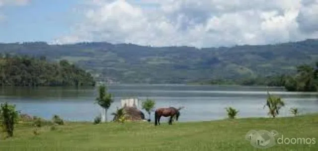 VENDO TERRENOS AGRICOLAS Y URBANOS INSCRITOS RRPP - 1