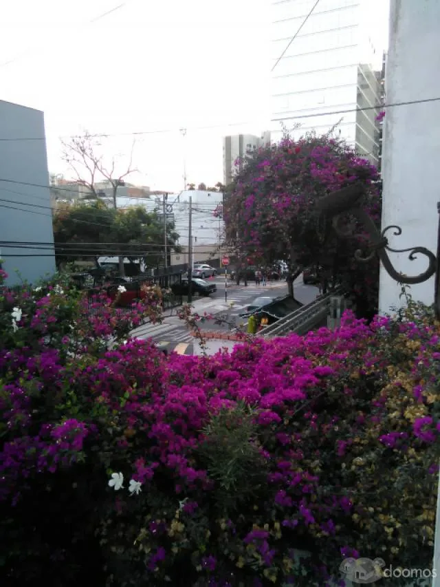 OPORTUNIDAD CASA EN VENTA SAN ISIDRO 280 m2 EXCELENTE UBICACIÓN - 5