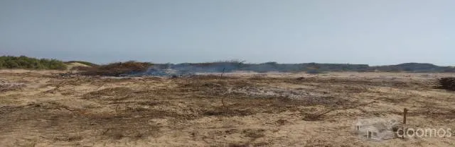 VENTA DE TERRENO AGRICOLA EN SAN PEDRO DE LLOC, Provincia de Pacasmayo - 1