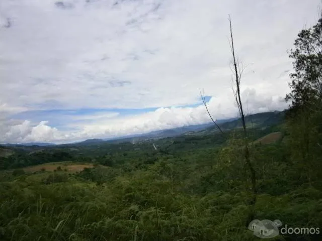 Terreno Carretera Marginal 5.5 km - 1