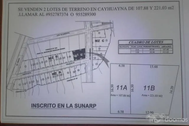 Lote de terreno ubicado en la esquina de la Av. Ingenieria y Jr. San Camilo - 1