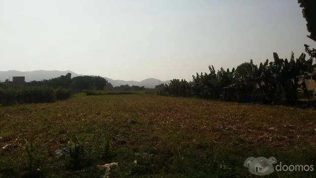LOTES DE 90 M2 BUENA UBICACION - CERCA A ANYPSA - CARABAYLLO - 1