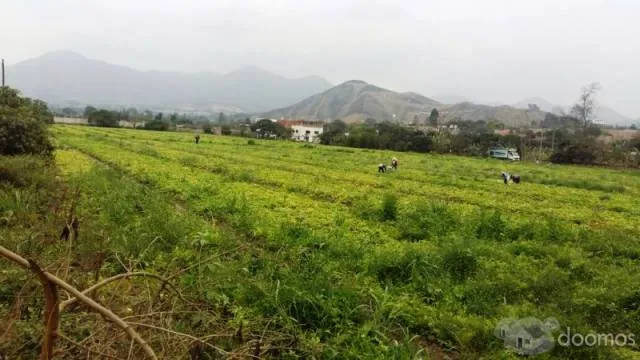 SE VENDE TERRRENO UBICADO EN MANCHAY ALTO EXACTAMENTE EN LA CURVA ZAPATA EN LA CARRETERA PAUL PAULET - 1