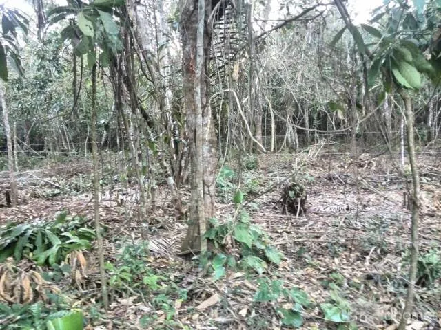 Terreno en alquiler - Tarapoto, Banda de Shilcayo - 1