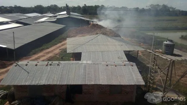 FABRICA DE LADRILLOS EN VENTA - EN PLENA PRODUCCION - FABRICAS E INDUSTRIAS - 1