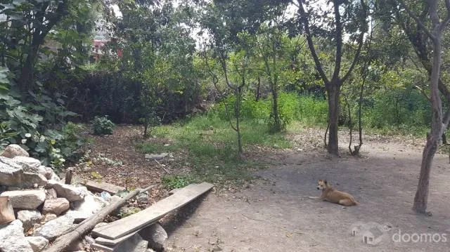 Venta de Terreno en Piquip - Yungay - 3