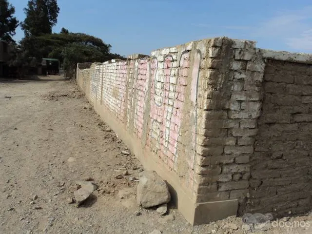 TERRENO DE 1,386 M2 EN CHICAMA, AAHH ALAN GARCIA - 5
