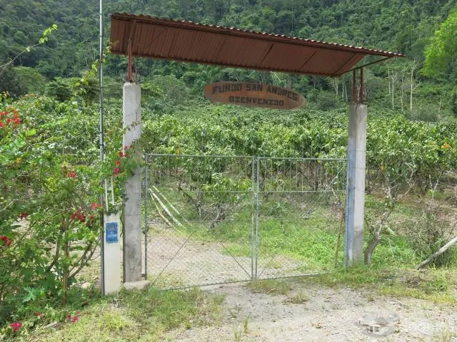 FUNDO AGRÍCOLA - 1
