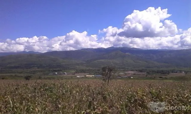 VENDO TERRENO AGRÍCOLA AEROPUERTO JAÉN SHUMBA SAN AGUSTIN BELLAVISTA JAÉN CAJAMARCA - 1