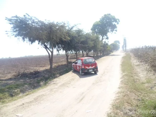 Remato terreno de Cultivo - 1