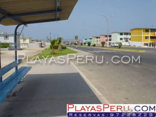Vendo departamento en ciudad nueva - 1