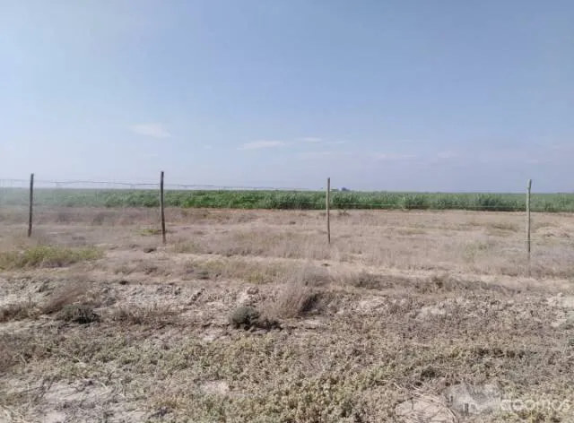 VENTA DE TERRENOS 2DA ETAPA DEL PROYECTO DE OLMOS - 1