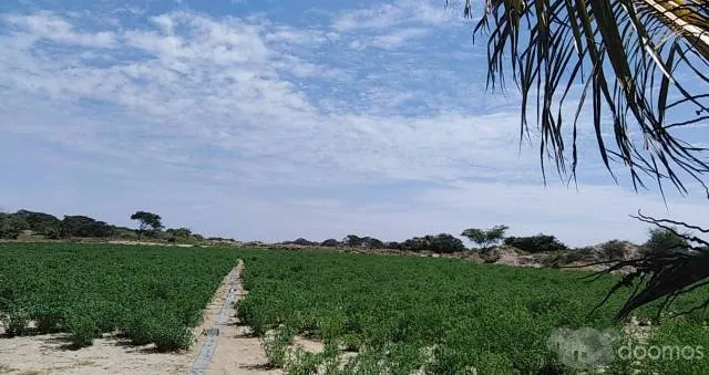 VENTA DE TERRENO DE 15 HECTÁREAS PARA SEMBRIO O CUALQUIER OTRO USO. - 1