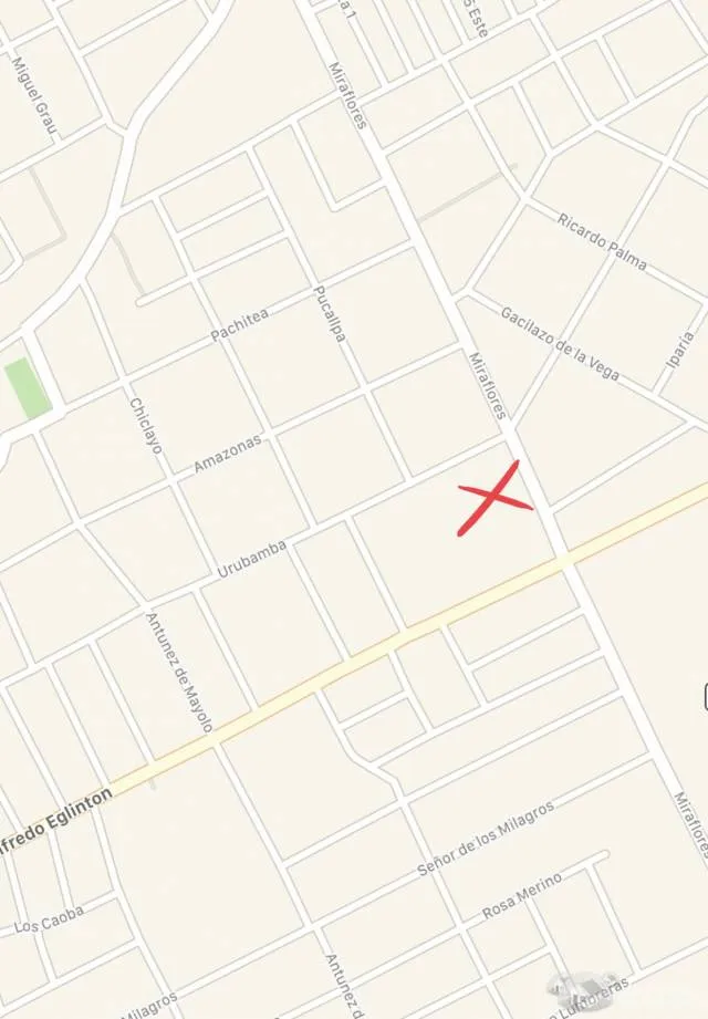 Alquilo Terreno en buena ubicación 2000m2 - 1