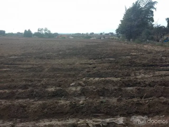 VENDO TERRENO EN CONACHE - LAREDO - 1