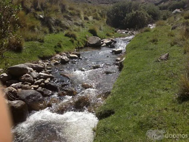 VENDO TERRENO RURAL CON PASTIZALES NATURALES CON 147 HECTÁREAS CON AGUA PROPIA DE MANANTIALES TODO EL AÑO - 1