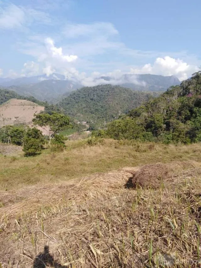 TERRENO PLANO 40 000 METROS MUY CERCA A LA PISTA EN SAN LUIS DE SHUARO - 1