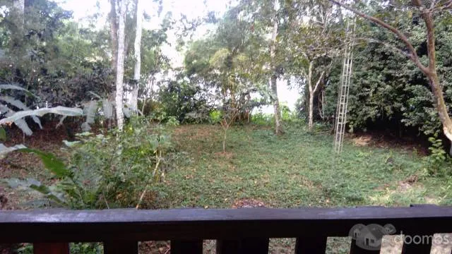 Vendo hermosos terrenos en Km. 6 del circuito turístico de Puerto Maldonado. - 1