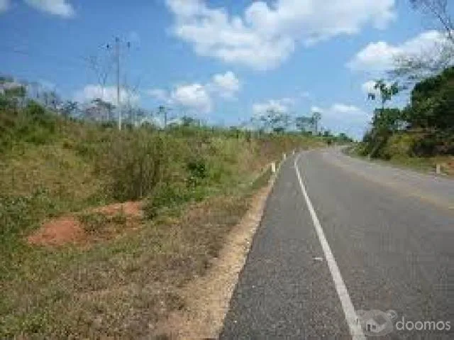 TERRENO PAPELES EN REGLA DE 2000 M2 EN EL TRIUNFO A PIE DE CARRETERA - 1