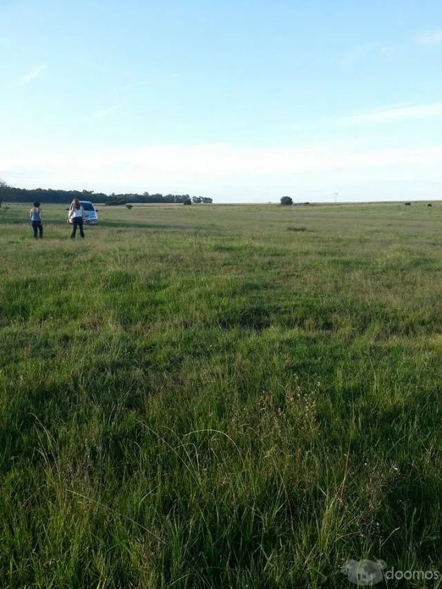 VENTA DE CAMPO ARGENTINA BUENOS AIRES - 1