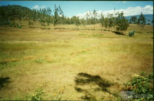 VENTA DE TERRENO EN CHACHAPOYAS - 2