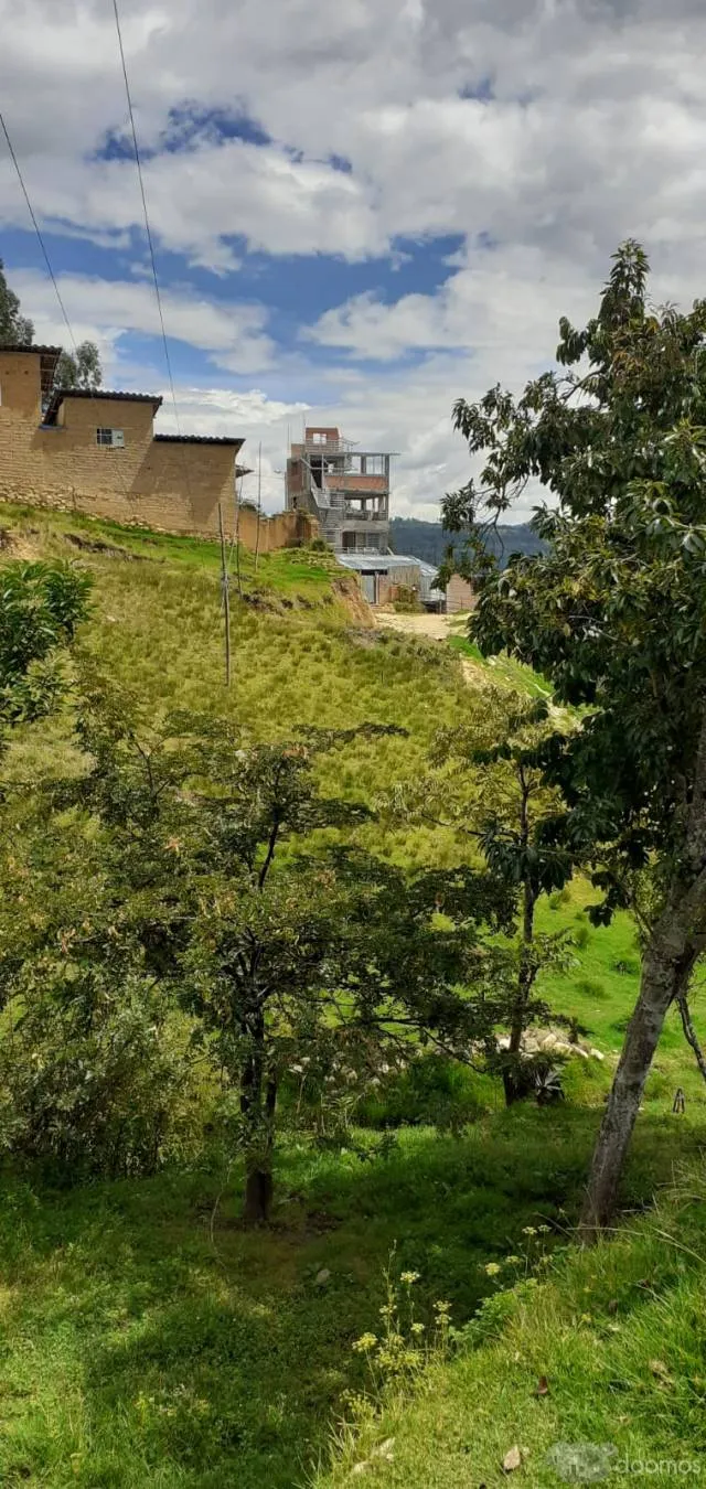 VENTA TERRENO 100m2 EN CAJABAMBA-CAJAMARCA BUENA UBICACION - 1