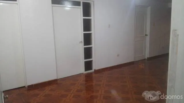 LINDO DEPARTAMENTO TOTALMENTE ACOGEDOR EN AVENIDA LOS ALISOS - 1