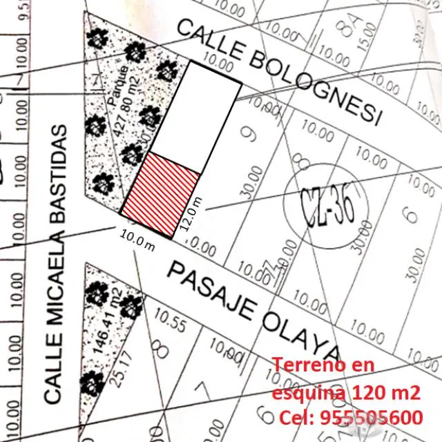 Terreno 120 m2, Anexo 22 Jicamarca - 1