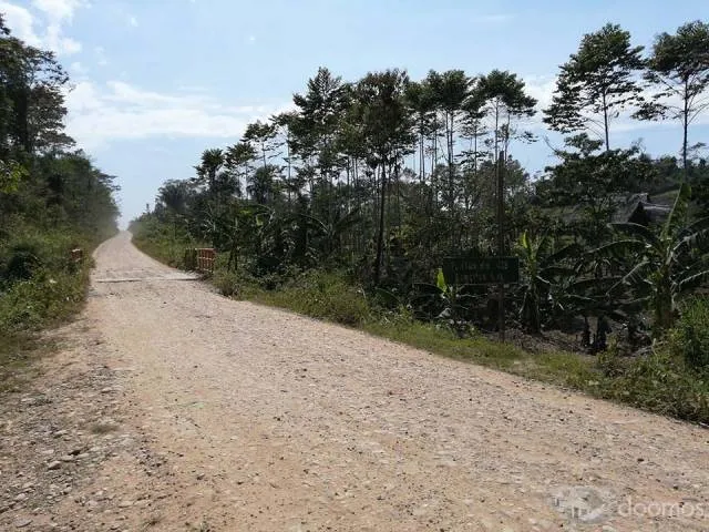 “OPORTUNIDAD EN LA SELVA,TERRENO CERCA A PUCALLPA” / 996721171 - 1