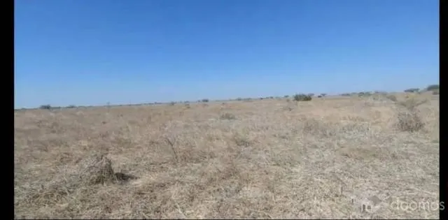 Se Vende Terreno en Ocasión 23 Has o 230.000 M2 en los Ex Ejidos de Paita a $620.000 - 1