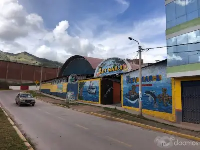Miniatura 6