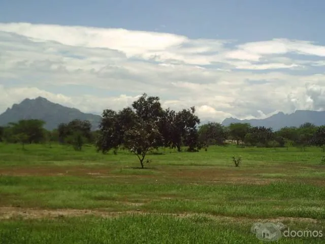 terreno agrícola de 220 hectáreas - 1