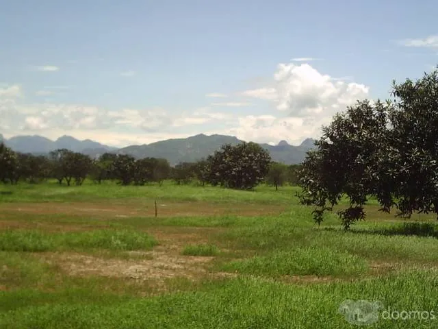 terreno agrícola de 220 hectáreas - 2