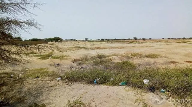 VENTA TERRENO AGRICOLA LAMBAYEQUE EN LA ZONA DE EXPANSION URBANA — foto 3