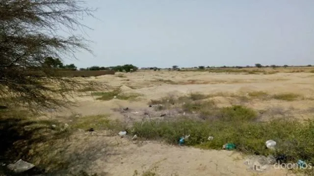 VENTA TERRENO AGRICOLA LAMBAYEQUE EN LA ZONA DE EXPANSION URBANA — foto 4