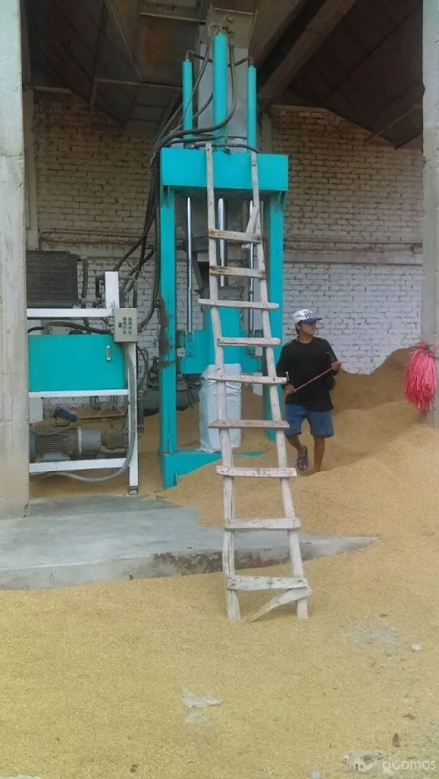 LOCAL INDUSTRIAL ACTIVIDAD PRINCIPAL PILADO DE ARROZ (MOLINO) - 9
