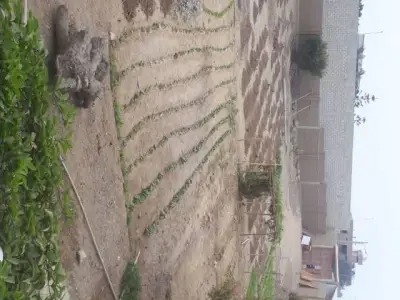 venta de terreno en distrito de huanchaco