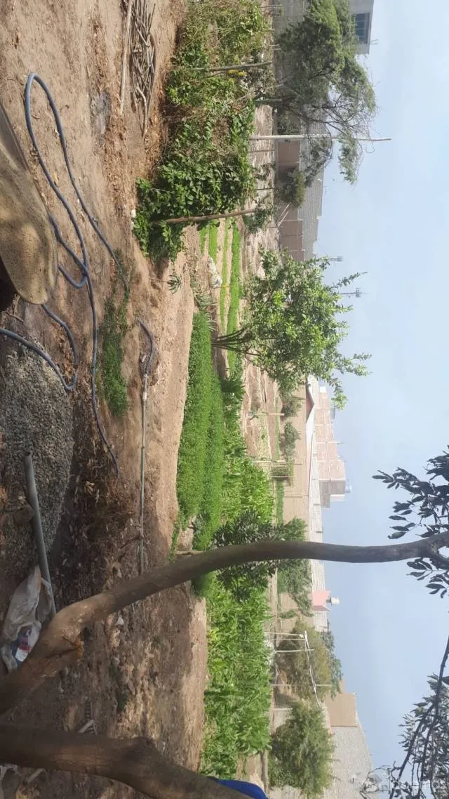 venta de terreno en distrito de huanchaco — foto 3