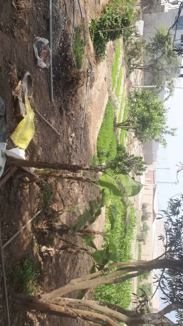 venta de terreno en distrito de huanchaco — foto 4