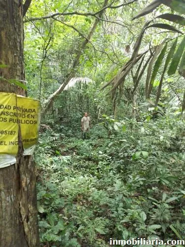 venta de terreno corredor turístico tambopata puerto maldonado - 2