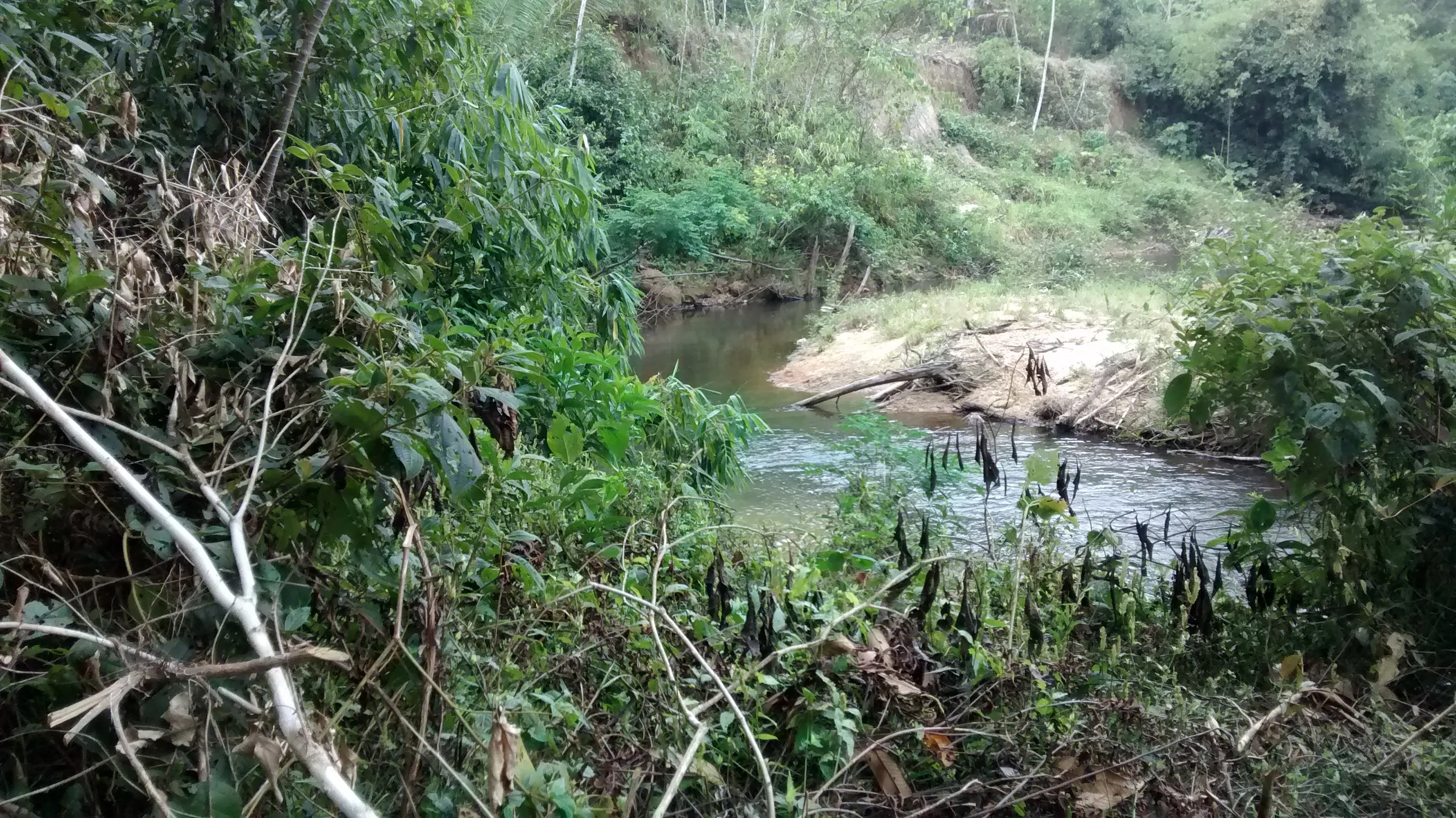 venta de terreno corredor turístico tambopata puerto maldonado - 8