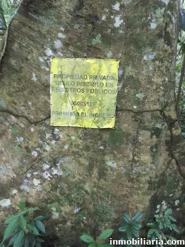 venta de terreno corredor turístico tambopata puerto maldonado - 3